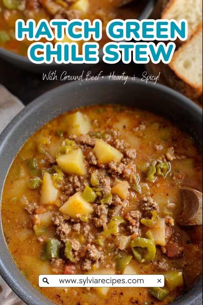 Pinterest Pin image of Hatch Green Chile Stew with Ground Beef and potatoes in a rustic bowl